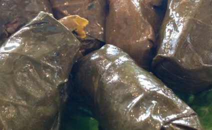 Vegetarian dolma stuffed grape leaves at Aladdin Mediterranean Cafe San Diego